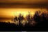 Coucher du roi