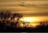 Coucher du roi