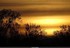 Coucher du roi