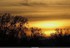 Coucher du roi