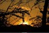 Coucher du roi soleil