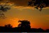 Coucher du roi soleil