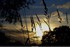 coucher du soir