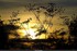 coucher du soir