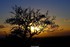 coucher du roi