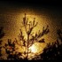 Coucher du soleil  sur le Lac de Pierre