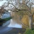crues de le Vienne (dec 2011)