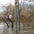 crues de le Vienne (dec 2011)