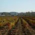 paysages bouchardais
