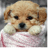 Qui dit fin de semaine dit----