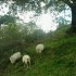 Petit moment de vie sans prét