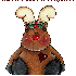 Coucou à Vous.....