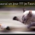Bonne semaine....