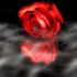 Une histoire.....les roses de 