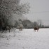 Jour de neige