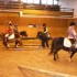 Concours de Gymkana du 24 janv