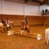 Concours de Gymkana du 24 janv