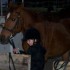 mon cheval preferer et moi !!!!!