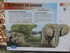 Les éléphants Du Zoo  Parc D