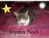 Joyeux Noël !!!2017-2018.