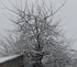 Tombe la neige -