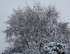 Tombe la neige -