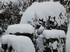 Tombe la neige -