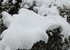 Tombe la neige -