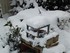 Tombe la neige -