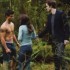 Passages de Twilight chapitre 