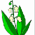 le muguet du 1er mai