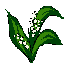 le muguet du 1er mai