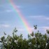 l'arc en ciel