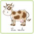 les vaches