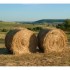 Le foin d'avant et d'aujourd'h