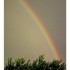 L'arc en ciel d'hier soir.