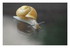 Un petit escargot !