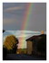 L'arc en ciel .