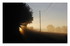 Le brouillard du matin !