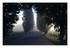 Le brouillard du matin !