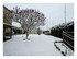 La neige !