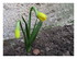 Dans le jardin !