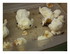 Elevage  de petites bébêtes 
