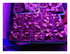 Mes plantations !