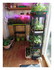 Mes plantations !