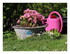 Dans le jardin !
