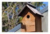 La mésange couve !