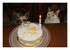1 er Mai et anniversaire de Mi