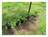 Dans mon jardin !