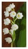 Les fleurs